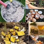 Mix Banana Peels With Rice: The Secret No One Will Ever Tell You