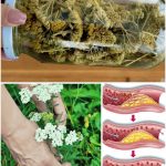 How to Make a Wattle Raised Garden Bed