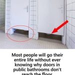 The Secret to Show-Stopping Clematis: A Love Story About Feeding the Queen of Climbers