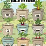 My way of growing potatoes – how to achieve high yields