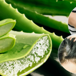 15 Front Yard Flower Bed Ideas