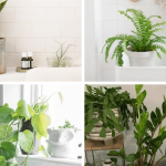 Jimmy Carter Dessert: A Southern Delight