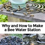 This Is What It Means If You See Colored Blocks on Your Toothpaste Tube