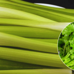 Why You Should Stick a Bay Leaf in a Lemon: The Effect Is Amazing!