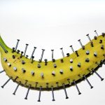 Most people have no clue. Here’s the hidden power of this plant