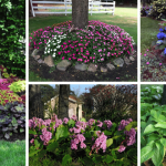 When You Eat Celery Every Day for a Week, Your Body Might Get These 14 Health Benefits