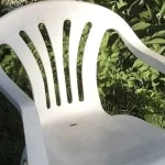 This Is Why Every Garden Needs a Rosemary Bush by the Front Door