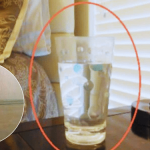 Strange DIY Backyard Christmas Tree Ideas For An Impressive Look