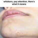 Are Plastic Cutting Boards Safe For You to Use? Here’s What Experts Have to Say