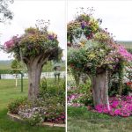 Papaya Sap: Nature’s Hidden Elixir  