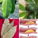 3 refreshing juice recipes