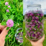 Why Your Towels Get Orange Stains—and How to Prevent It