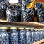 Most People Use Rosemary Only for Cooking – But Here Are 5 Powerful Ways You Should Actually Be Using It