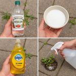 Easy Zucchini Rosti with eggs