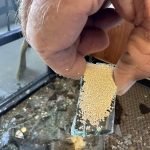 Healthy Zucchini Fries (Baked, Not Fried)