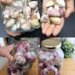 The Ultimate Lemon Project: How to Use 2 Boxes of Lemons for Dozens of Recipes