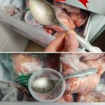 The First Thing You See Will Reveal the Truth That’s Troubling You (Visual Psychological Test)