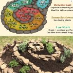 Dandelion: The Multifunctional Herb with Health and Food Applications