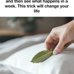 Here are 12 natural homemade cleaner