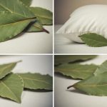 How to clean the kitchen hood: effective remedies to eliminate dirt and unpleasant smells