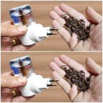 The Secret Behind Those Tiny Strings on Your Bananas