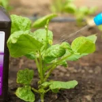 The Secret To Get Perfect Hard Boiled Eggs Every Time (So They’re Actually Easy to Peel)