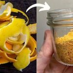 30 Powerful Reasons You Should Stop Ignoring Purslane