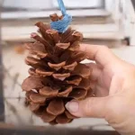 Relaxing Infusion for Stress and Insomnia