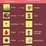 The Link Between Ovarian and Bre.ast Can.cer: What Every Woman Should Know