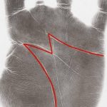 September Hummingbirds: Feeding Frenzy Before Migration