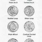 4-Ingredient Quick Lemon Sorbet (Ready in 3 Minutes!)