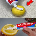 Here’s the secret why everyone puts avocados on the fire