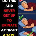 Why You Should Leave Fallen Leaves on Your Soil (Not Bag Them Up!)