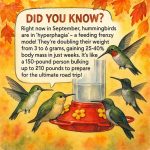 Turn an Old Freezer into a Simple Root Cellar