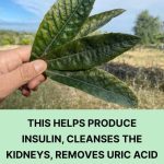 5 Common Drinking Water Mistakes That Can Affect Your Health