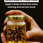 Easy Whole Apple Cake Recipe – A Delicious Dessert for Any Occasion