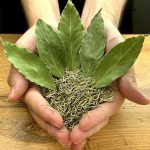 Make milk powder from scratch see