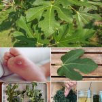 Plumbers hide it, once you put it in the toilet something unexpected happens