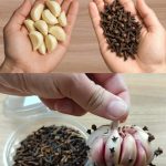 The Incredible Benefits of Dates: A Nutrient-Packed Superfood