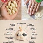 What Happens When You Grow a Tomato from a Burger King Whopper Slice?