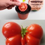 Garlic: Nature’s Powerful Remedy for Health and Wellness