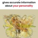 If you do this at night, cucumbers, tomatoes, peppers will produce tons! The best fertilizer ever