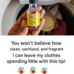 Hydrogen Peroxide in the Garden: Which Plants Love It (and How to Apply)