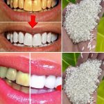 DIY Dryer Sheets in a Glass Container: Natural, Reusable, and Eco-Friendly