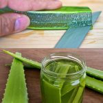 Top 5 Struggles of Sharing the Shower with Your Partner