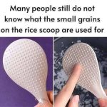 Top 5 Struggles of Sharing the Shower with Your Partner