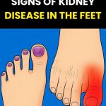 Can You Spot the Identical Sticky Buns? Test Your Eyes and Your Personality