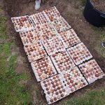 Most Nostalgic Moment of My Week