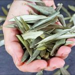 One of these almost forgotten treasures is the carob, an ancient fruit packed with remarkable nutritional properties