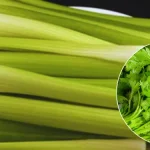 How to Make Rose Water at Home